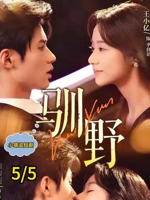 无声证词刑侦剧全集手机观看